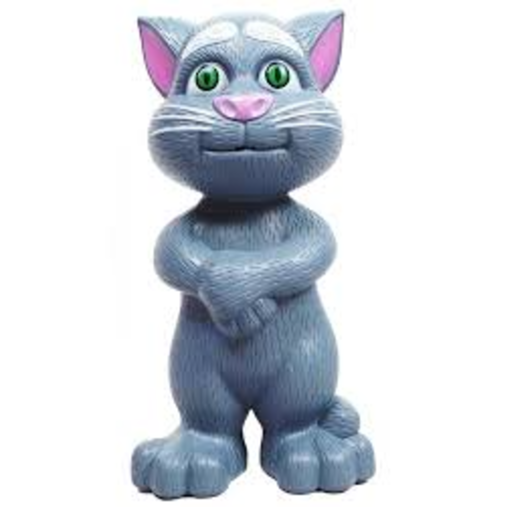 Intelligent Tom Cat