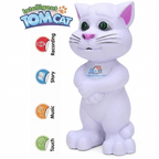 Intelligent Tom Cat